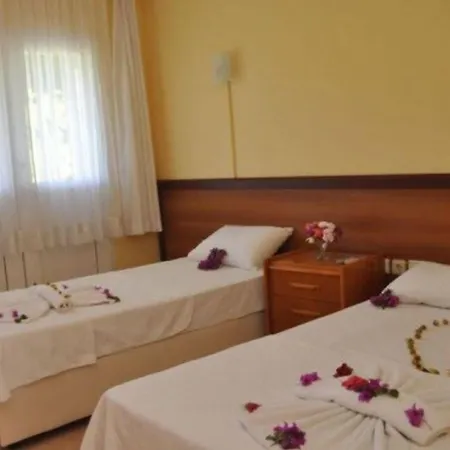 Sarsilmaz 3* أورتاكنت